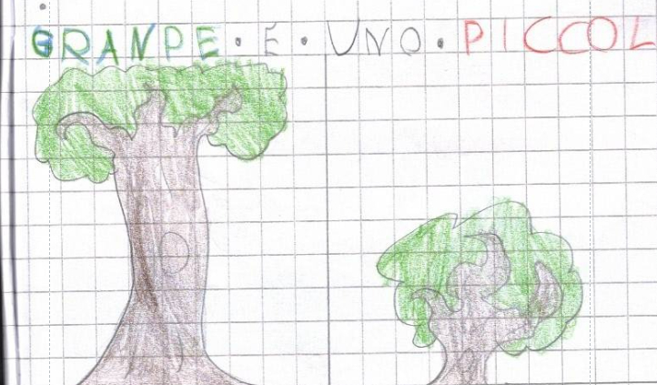 Quantificatori nella scuola primaria