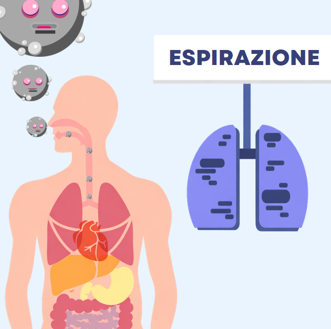 Libri per bambini apparato escretore: il viaggio nel corpo umano - immagine 7
