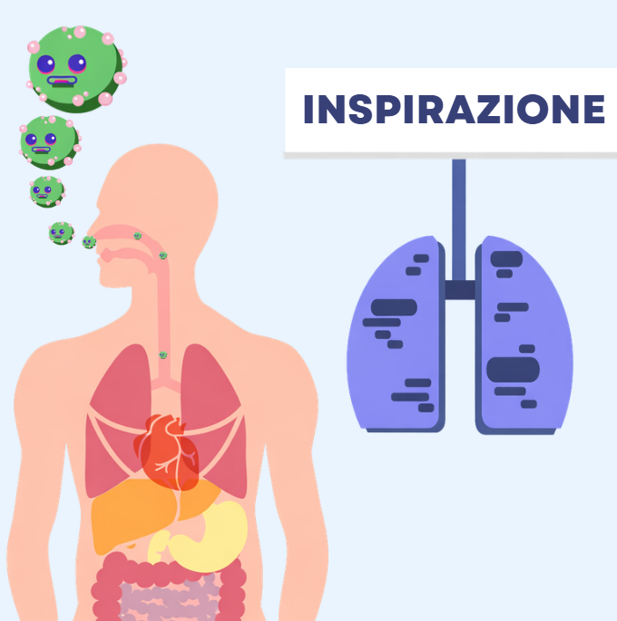 apparato escretore libri per bambini scuola primaria respirazione