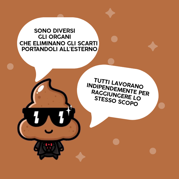 Libri per bambini apparato escretore: il viaggio nel corpo umano - immagine 4