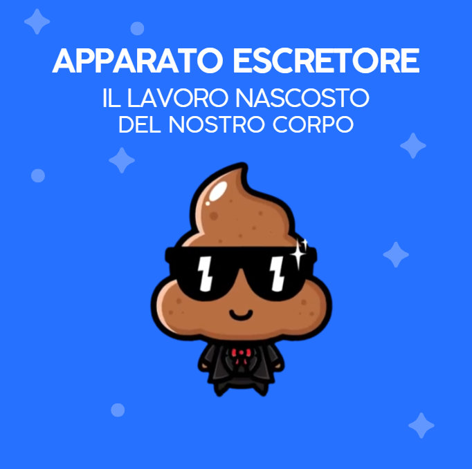 Apparato escretore libri per bambini